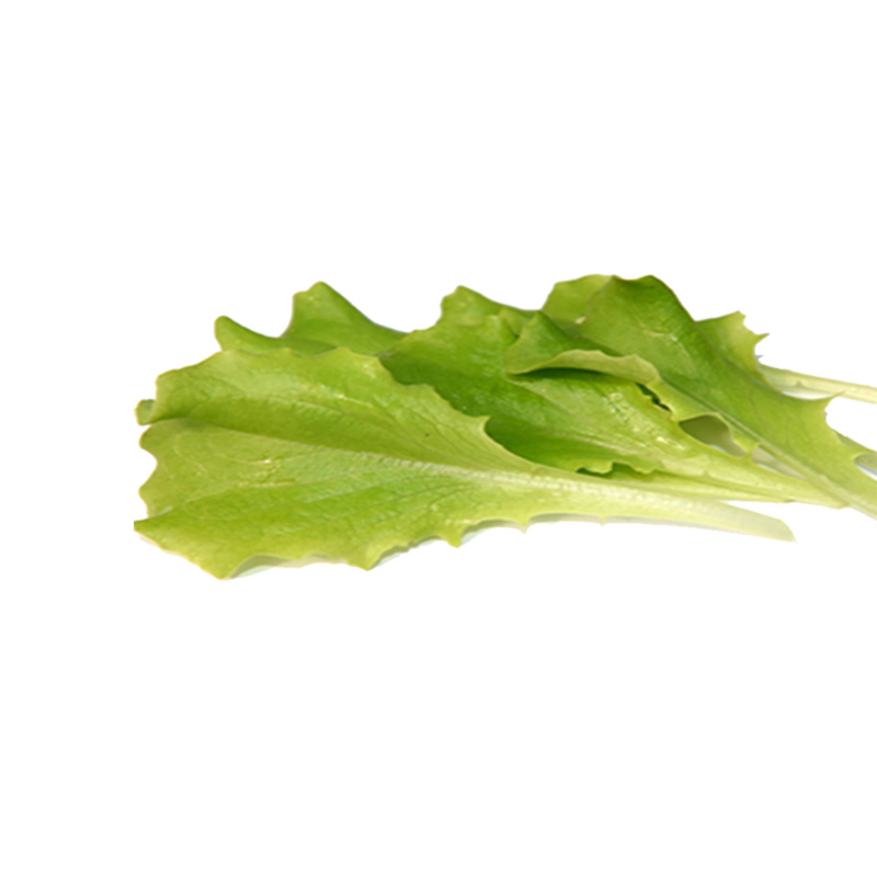 Insalata Baby Leaf Batavia