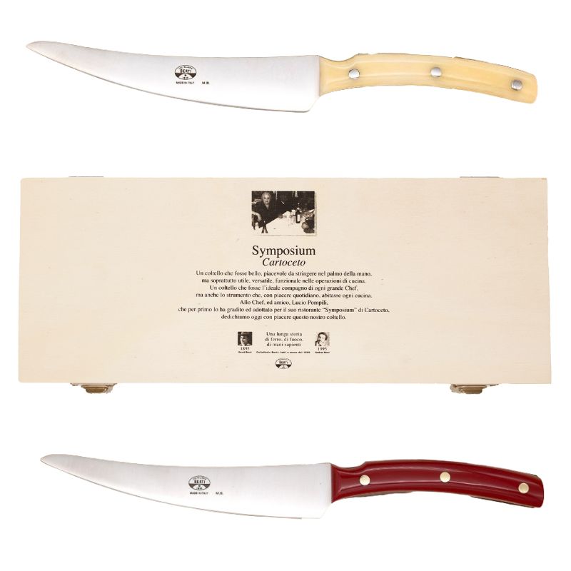 set-da-arrosto-symposium-con-manico-in-metacrilato-in-diverse-colorazioni